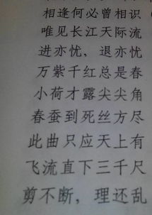 詩(shī)句,成語(yǔ),旋律,于悅