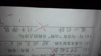 動(dòng)物名稱(chēng)古詩(shī)句