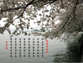 古詩(shī),詩(shī)句,描寫(xiě),冬天