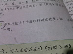 思鄉友情的詩(shī)句古詩(shī)
