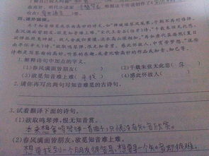 知音難覓內心孤苦的古詩(shī)句