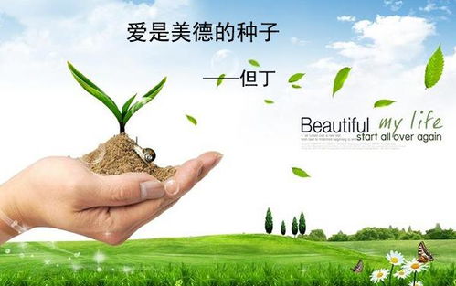 關(guān)于愛(ài)心的詩(shī)句或名言警句