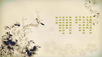 關(guān)于邊塞風(fēng)光的古詩(shī)句