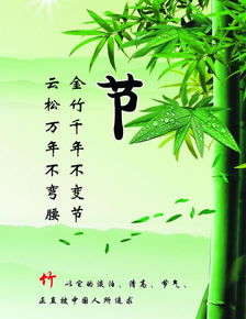 帶有古詩(shī)句的優(yōu)美句子有哪些