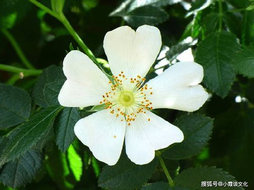 關(guān)于水的堅持不懈的詩(shī)句,形容堅持不懈的詩(shī)句,比喻堅持不懈的詩(shī)句