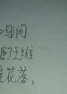 描寫(xiě)山鳥(niǎo)的古詩(shī)句