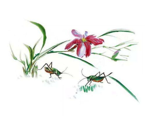 寫(xiě)贊美魚(yú)的詩(shī)句古詩(shī)