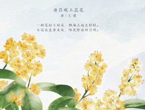 關(guān)于節氣的詩(shī)句兩句