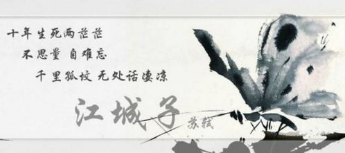 形容再也不見(jiàn)的古詩(shī)句6