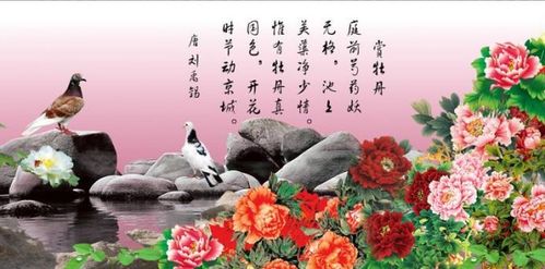 小學(xué)關(guān)于牡丹詩(shī)句古詩(shī)詞