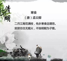 清明節的古詩(shī)四句,有關(guān)清明節的古詩(shī)句,描寫(xiě)清明節的古詩(shī)句