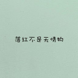 感恩老師詩(shī)句古詩(shī)詞