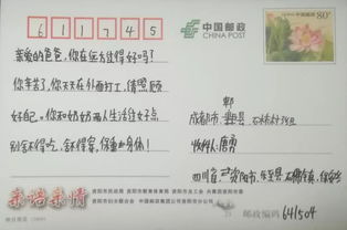 親情溫暖我心作文開頭結尾