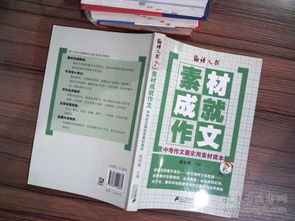 成功后的經(jīng)歷作文600字作文開(kāi)頭