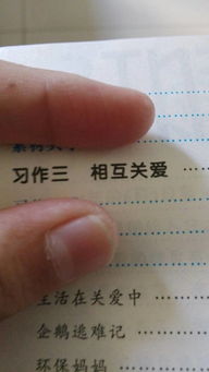小學(xué)互相關(guān)心的作文開(kāi)頭結(jié)尾