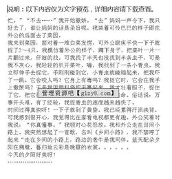 那是的一次什么的嘗試作文開(kāi)頭