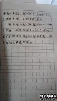 運動(dòng)會(huì )難忘的一天作文開(kāi)頭結尾