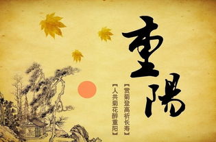 重陽節(jié)的作文精彩開頭