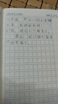 感情依然作文開(kāi)頭