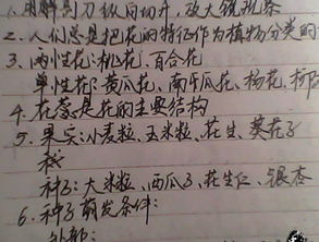 摘抄同學作文開頭150字