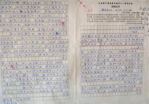以對母親感恩作文開頭
