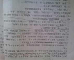 歷史從未遠去作文開(kāi)頭