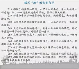 寫(xiě)美好的作文開(kāi)頭結尾的句子摘抄