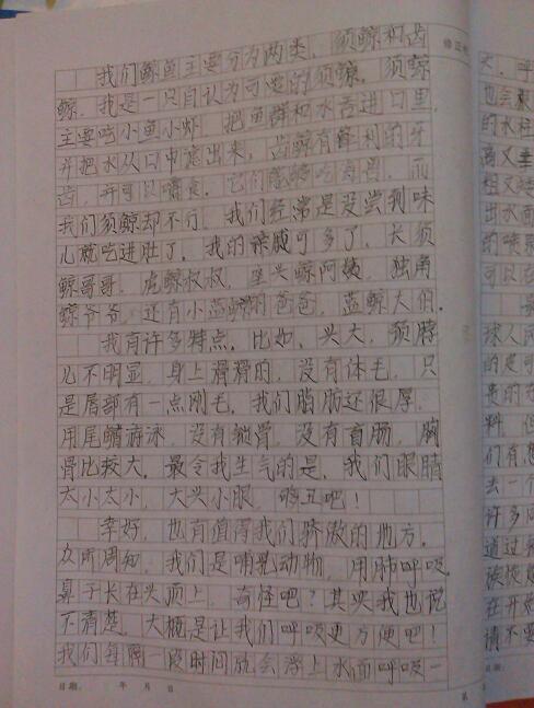 我好想做一只自由的鳥(niǎo)作文開(kāi)頭