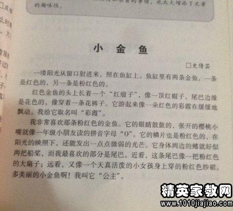 關(guān)于寒假趣事作文開(kāi)頭和結(jié)尾