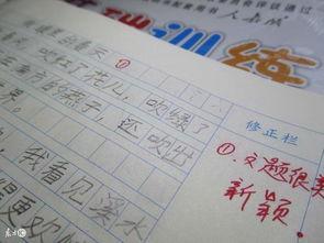 關(guān)于社會(huì )的作文開(kāi)頭,關(guān)于社會(huì )的作文開(kāi)頭和結尾,社會(huì )類(lèi)作文開(kāi)頭