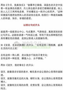 最喜歡去哪里玩的作文開(kāi)頭
