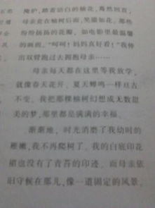 景物描寫(xiě)開(kāi)頭親情作文600字