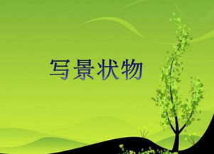 強調實(shí)踐的作文開(kāi)頭