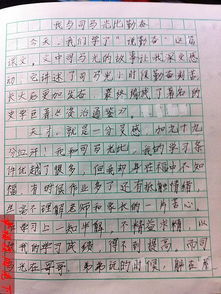 我想奮斗一次作文開(kāi)頭