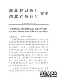 學(xué)校專(zhuān)項經(jīng)費的自查報告(專(zhuān)項經(jīng)費自查報告)