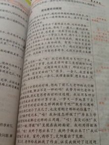 圍繞暖字寫(xiě)作文開(kāi)頭
