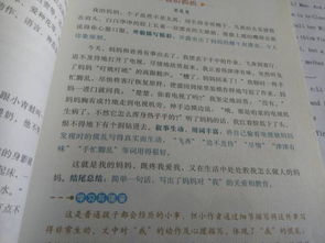 我的媽媽作文環(huán)境描寫(xiě)式開(kāi)頭和結尾
