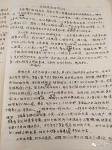 陪你一起度過(guò)作文開(kāi)頭