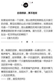 用4種句子寫(xiě)作文開(kāi)頭100字