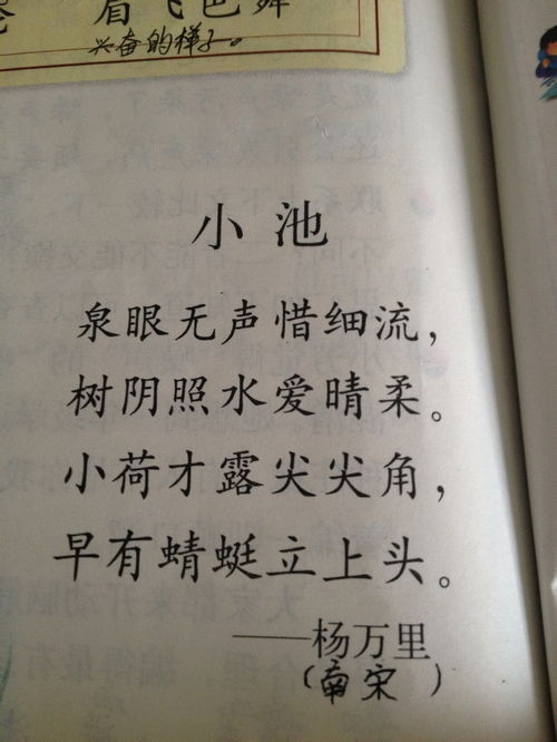 夏天的雨中風景600字作文開頭