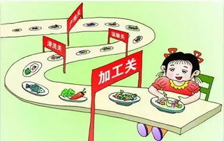 食品安全整改報告([整改]09工程審計問題整改報告)