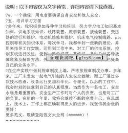 工廠(chǎng)電工個(gè)人工作總結報告()
