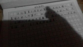 追憶的作文開(kāi)頭