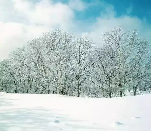 雪景色作文開(kāi)頭結(jié)尾