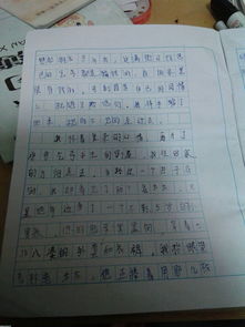 想起這件事我真感動(dòng)作文600字作文開(kāi)頭