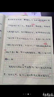 又見(jiàn)她的笑作文開(kāi)頭