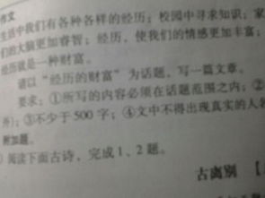 經(jīng)歷的財富的作文開(kāi)頭