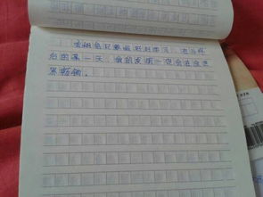 我的奇妙想象作文400字開(kāi)頭