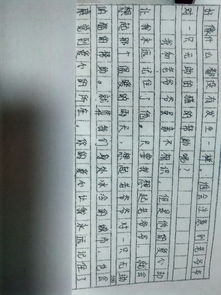 有環(huán)境描寫萬能作文開頭