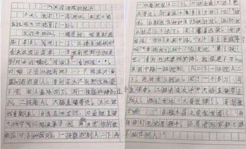 我的榮譽(yù)書(shū)作文開(kāi)頭